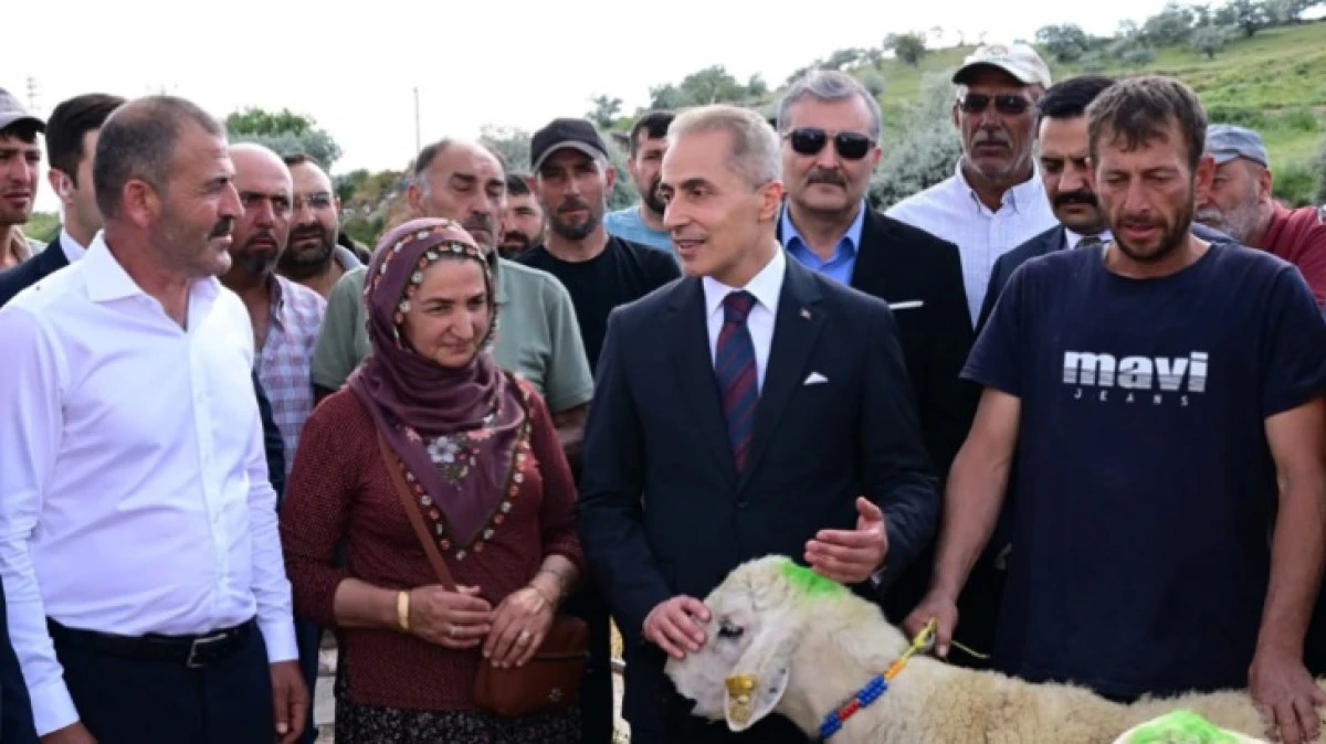 100 BAŞ DAMIZLIK KO&Ccedil; DAĞITILDI 