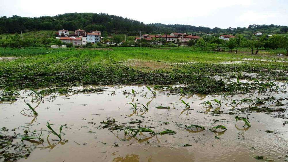 Hisarcık’ta sağanak yağış sonrası tarım arazileri sular altında kaldı
