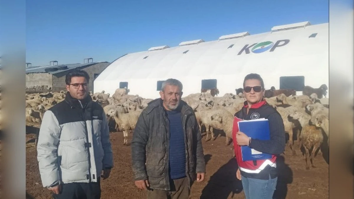 28 PORTATİF AĞIL KURULDU 