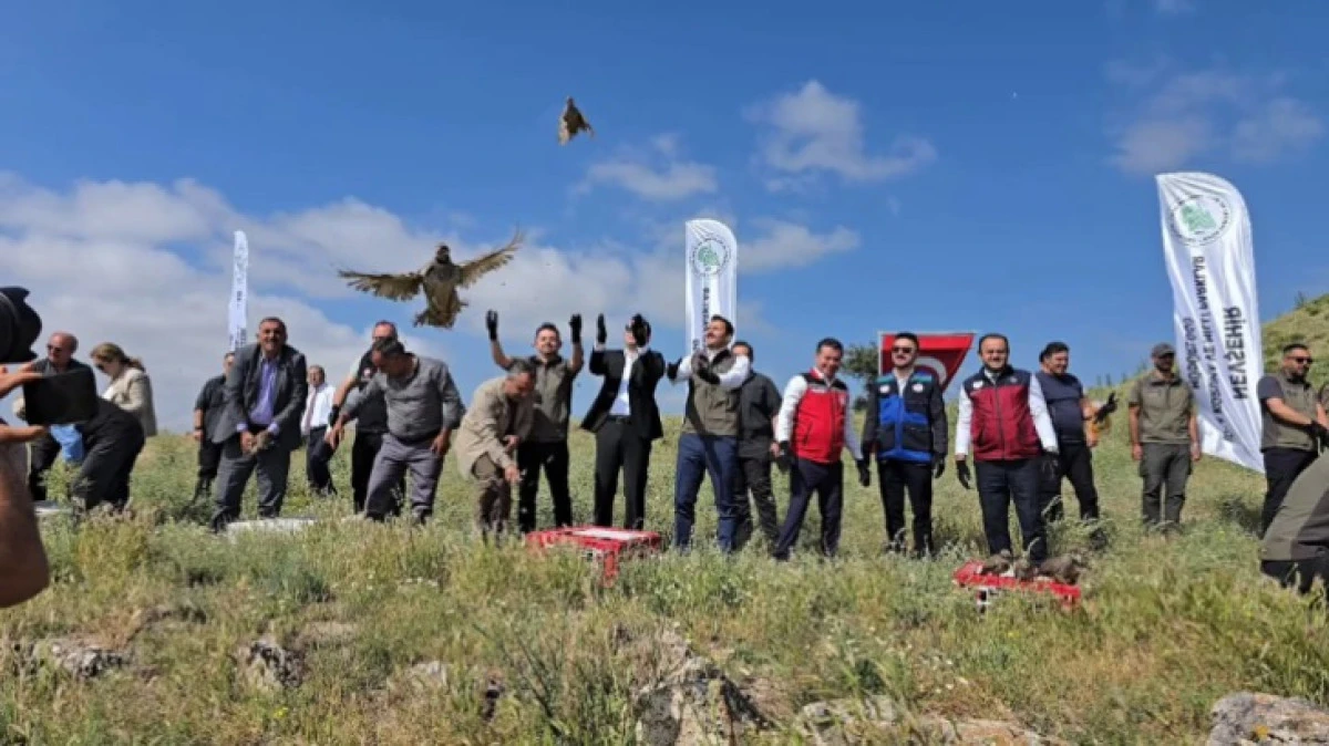 300 KEKLİK DOĞAYA BIRAKILDI 