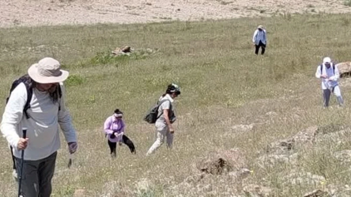 DAMSA'DA Y&Uuml;ZEY ARAŞTIRMALARI BAŞLADI 