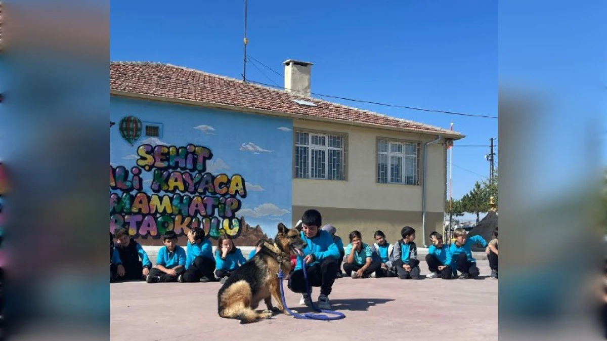 DÜNYA HAYVANLARI KORUMA GÜNÜNDE ALMAN KURDU İLE BULUŞTULAR 