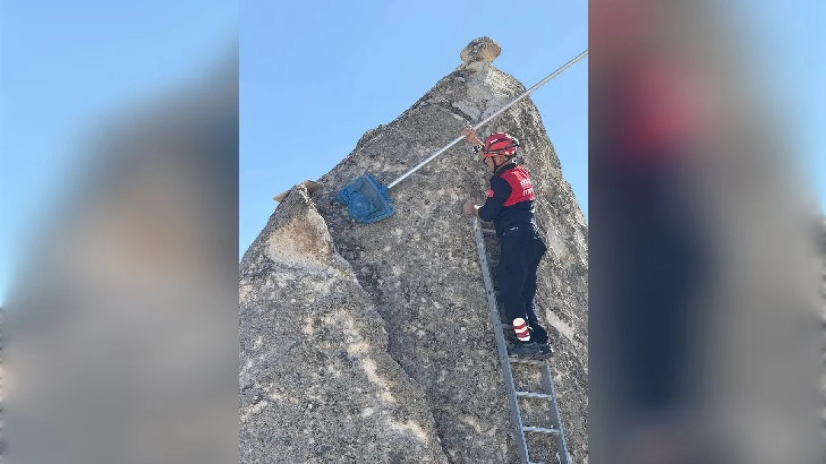 GÖREME'DE KEDİ OPERASYONU 