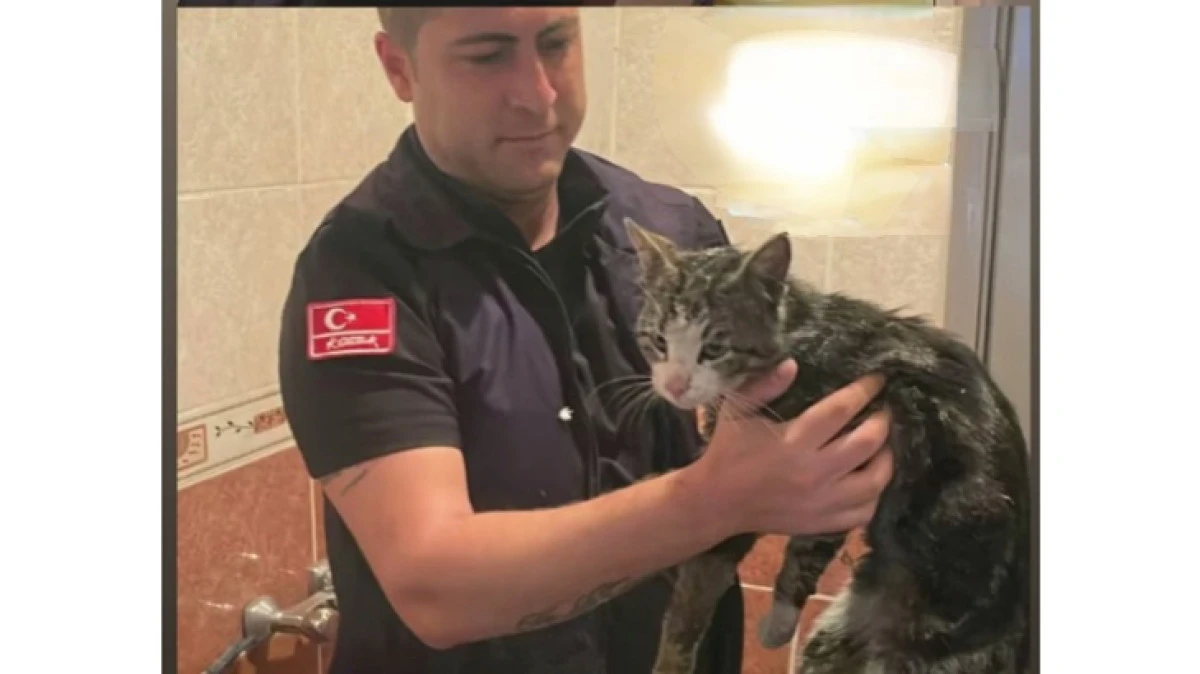 HAVALANDIRMA BOŞLUĞUNA D&Uuml;ŞEN KEDİ KURTARILDI 