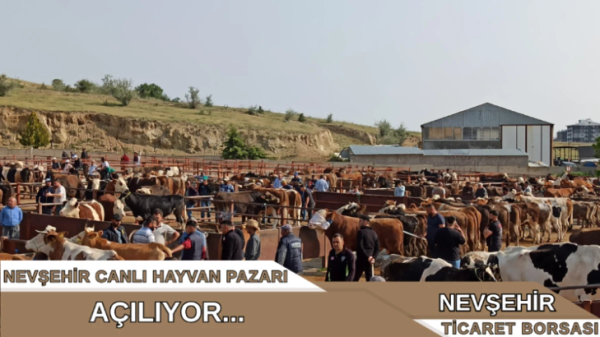 HAYVAN PAZARI A&Ccedil;ILIYOR 