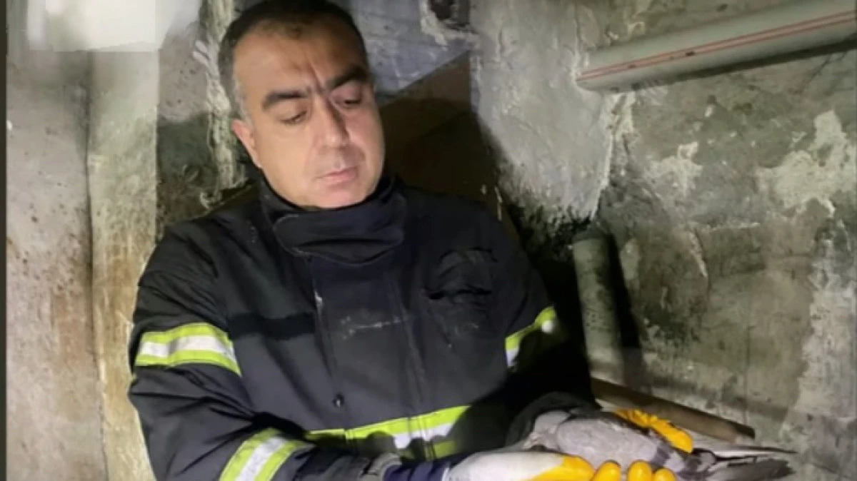 İTFAİYE UZUN UĞRAŞLAR SONUCU KUŞ'U KURTARDI 