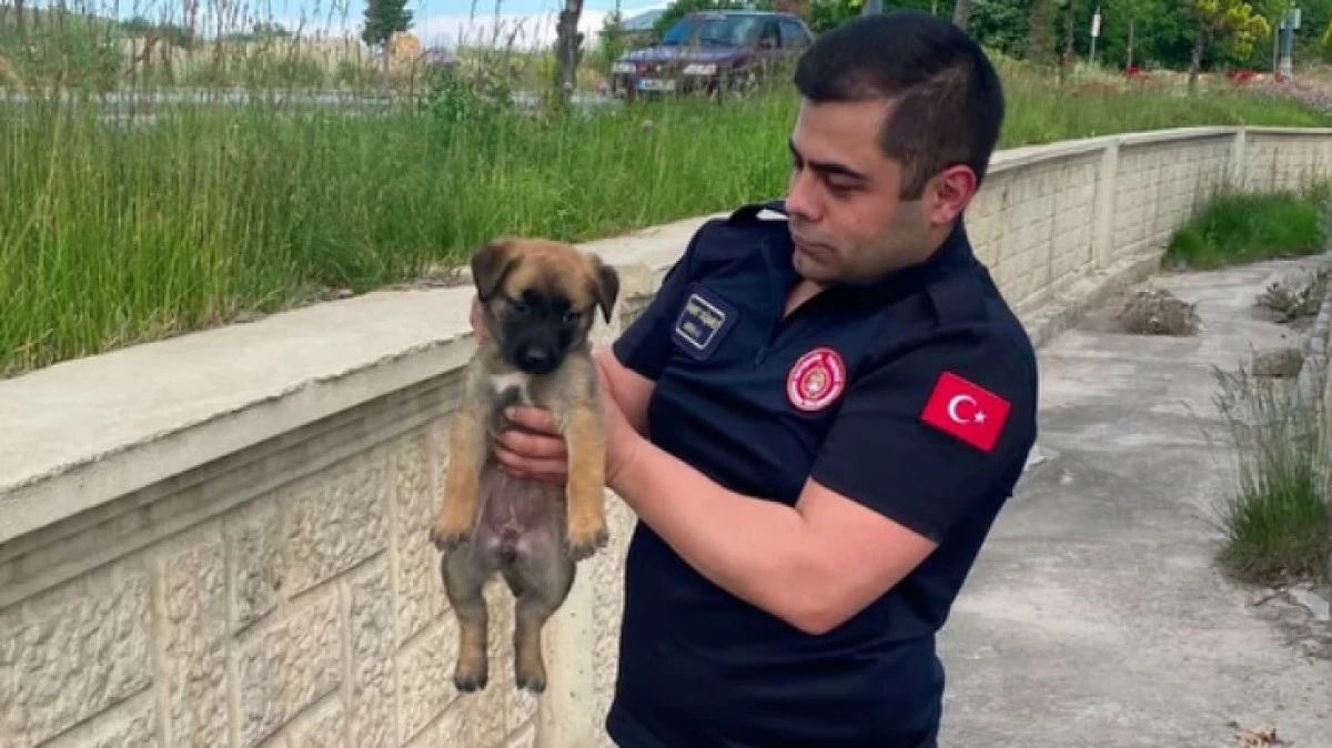 İTFAİYE YAVRU K&Ouml;PEĞİ KURTARDI 