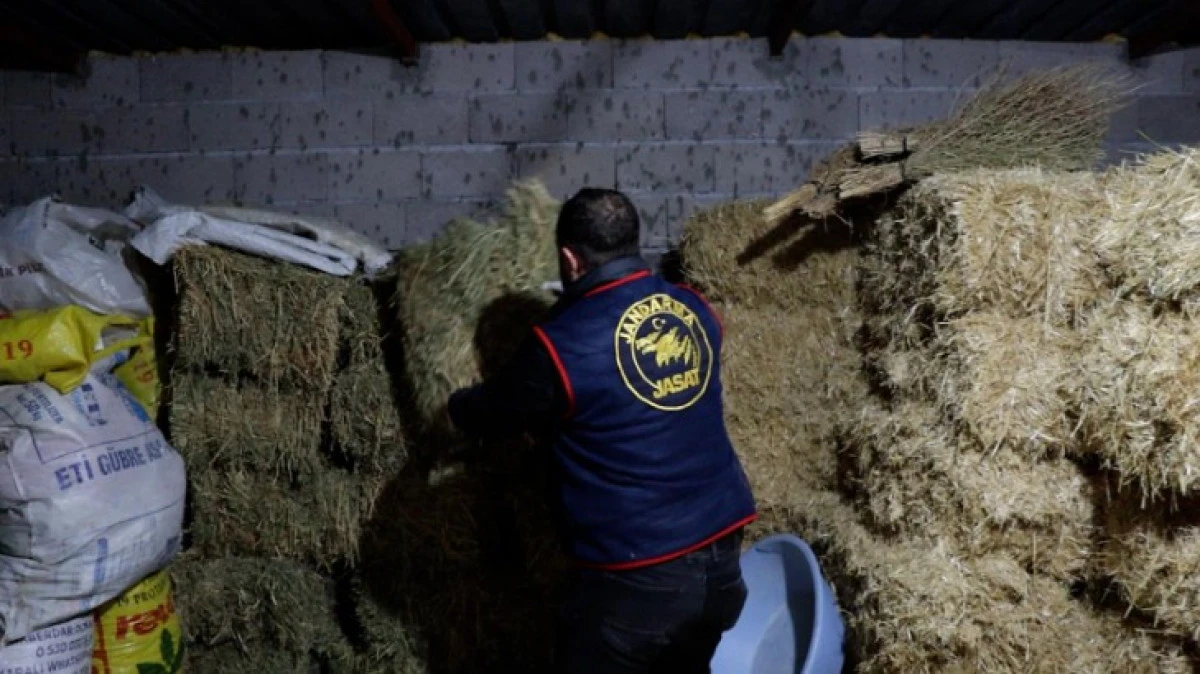 JANDARMADAN 3 AYRI İLDE B&Uuml;Y&Uuml;K OPERASYON 