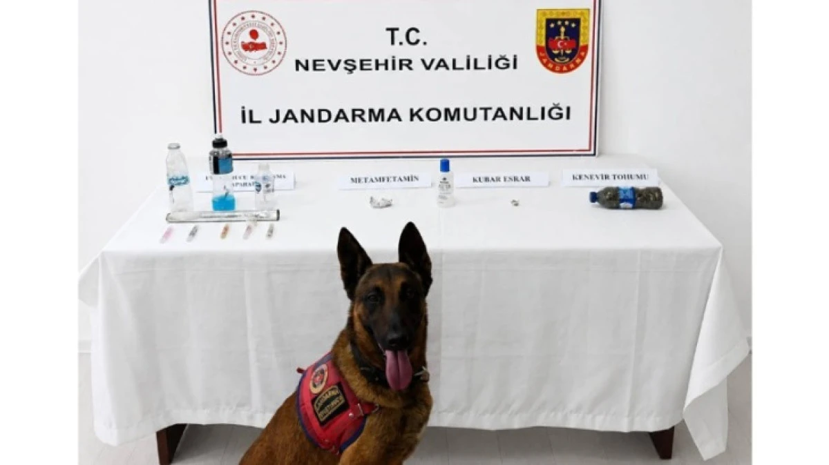 JANDARMADAN &Ouml;ZEL HAREKATLI UYUŞTURUCU OPERASYONU