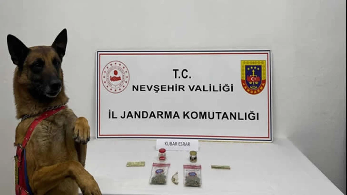 JANDARMADAN UYUŞTURUCU OPERASYONU