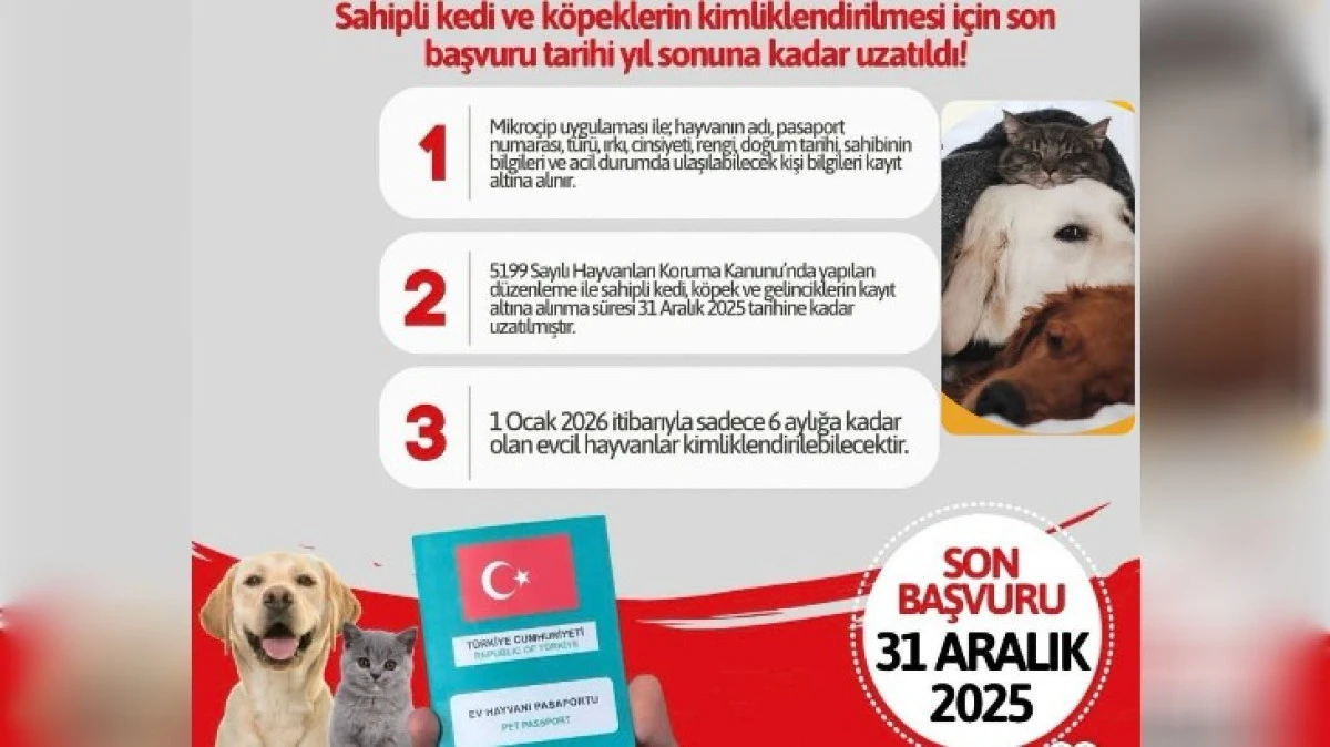 KEDİ VE KÖPEK SAHİPLERİ DİKKAT 