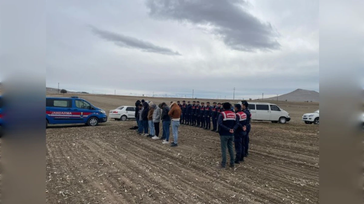 K&Ouml;PEK D&Ouml;V&Uuml;Ş&Uuml; YAPTIRANLAR YAKALANDI 