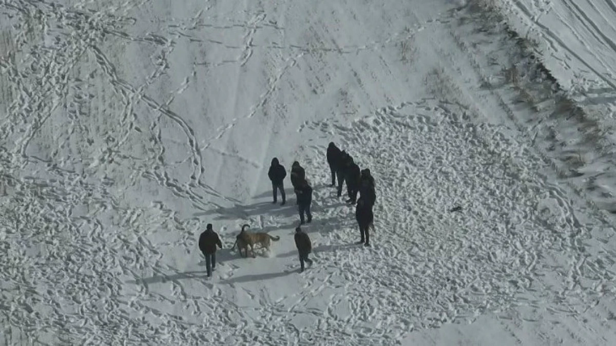 K&Ouml;PEK D&Ouml;V&Uuml;Ş&Uuml;NE DRONLU BASKIN 