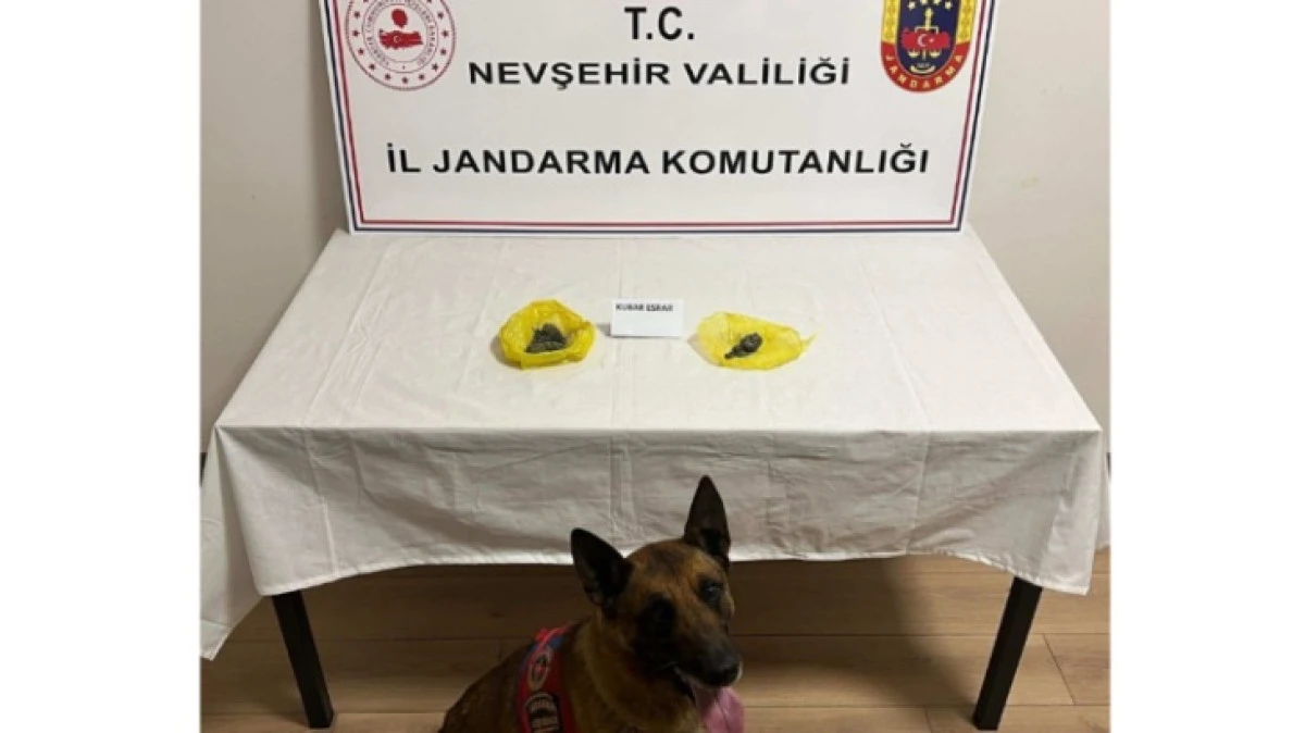 KOZAKLI'DA UYUŞTURUCU YAKALANDI 