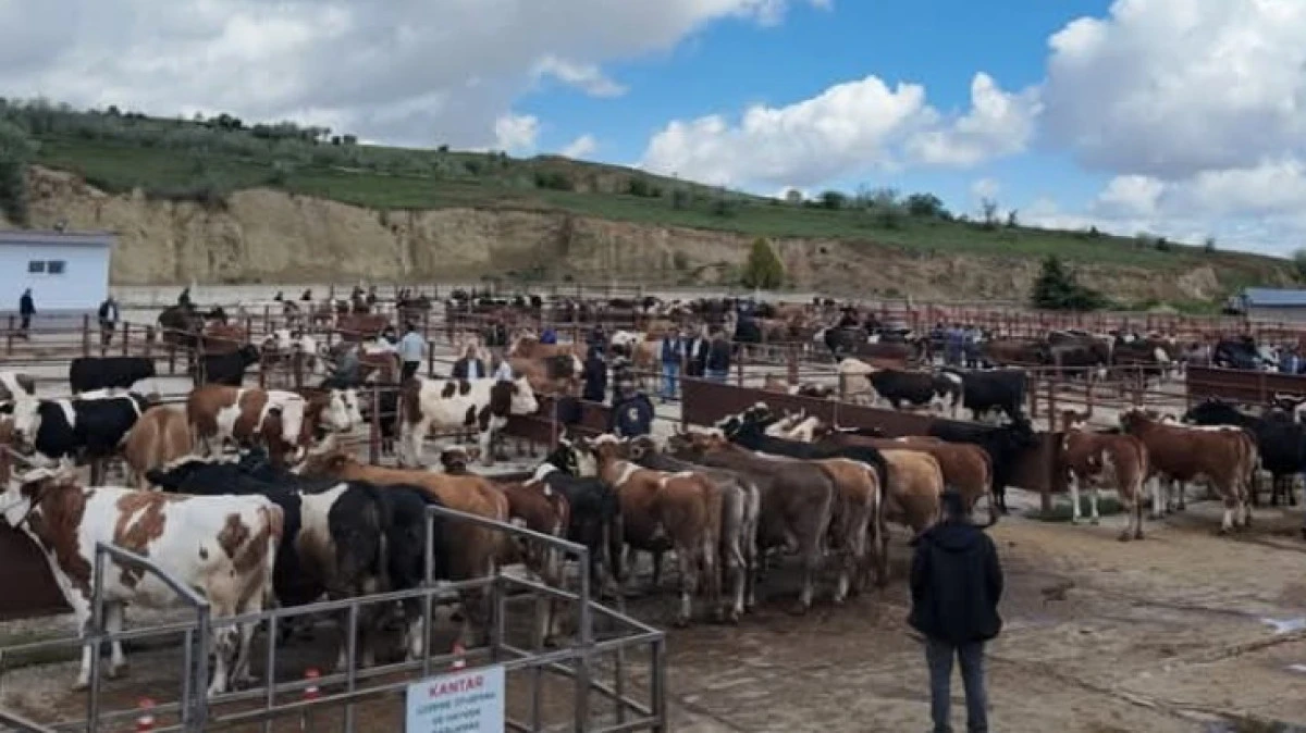 KURBANLIKLARI DENETİMLER ARALIKSIZ S&Uuml;R&Uuml;YOR 