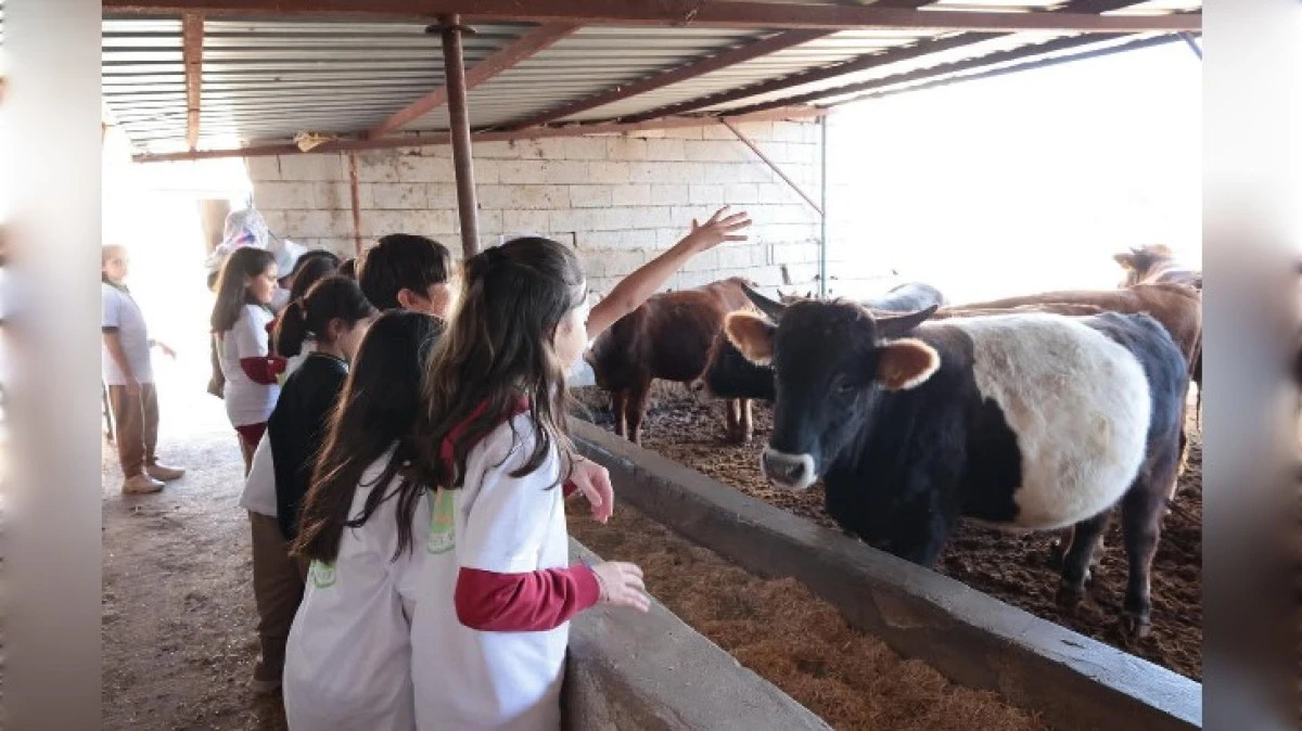 LİDER ÇOCUK TARIM KAMPI SÜRÜYOR 