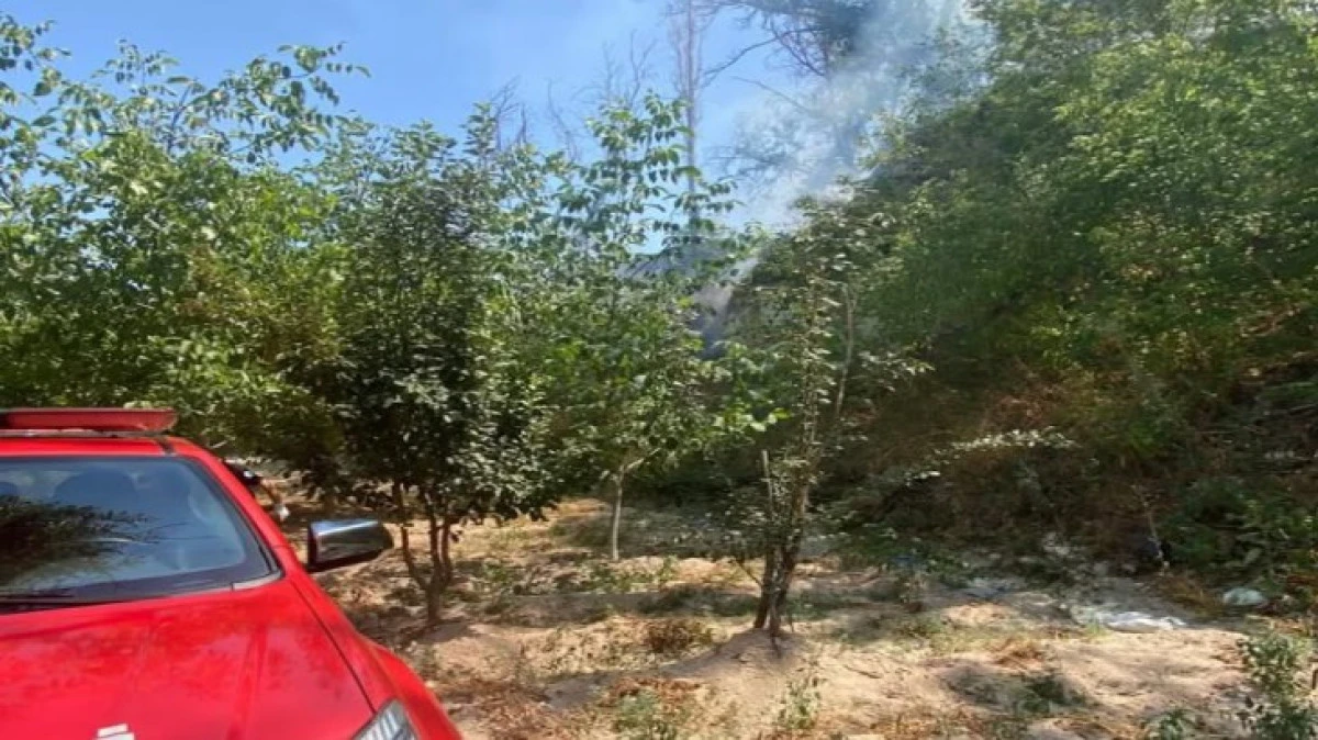 NAR'DAKİ YANGIN SÜRÜYOR 