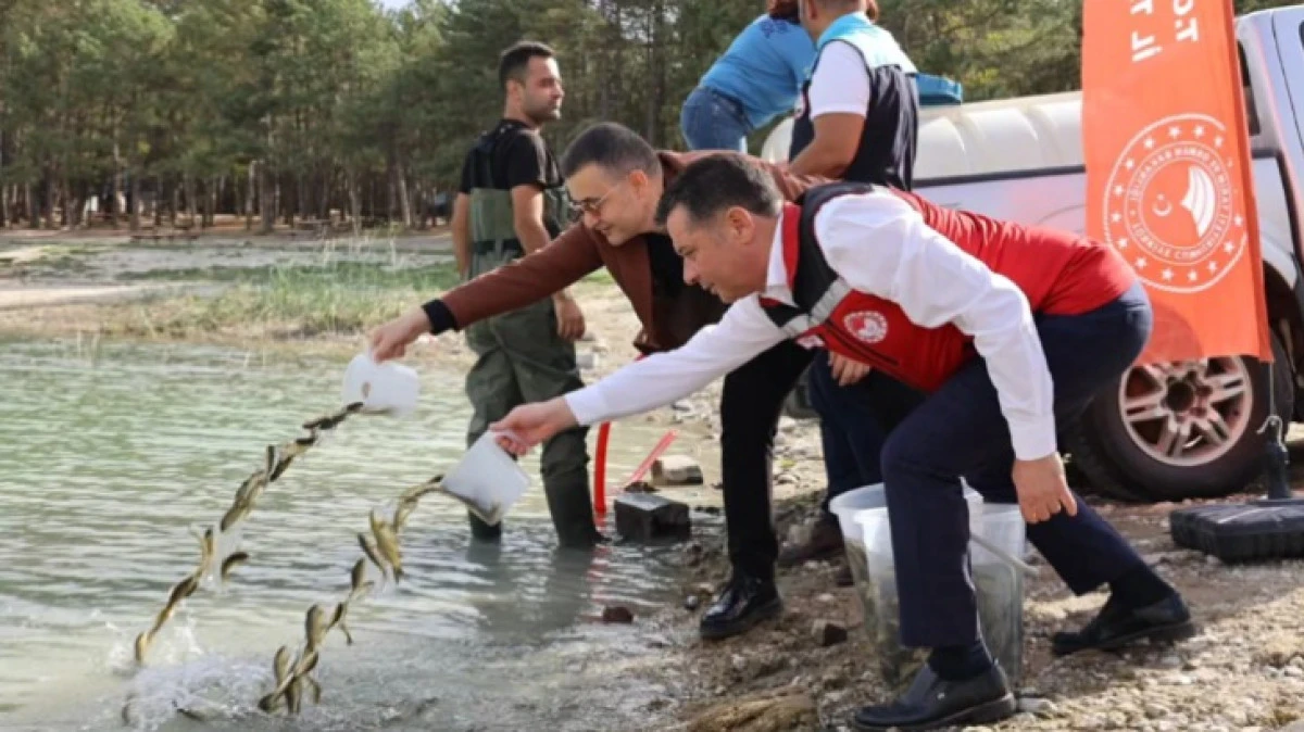 NEVŞEHİR'DE 725 SAZAN BALIĞI YAVRUSU 5 MERKEZE BIRAKILDI.