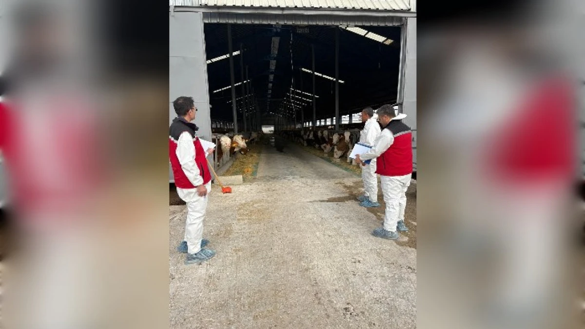 NEVŞEHİR'DE HASTALIKTAN ARİ İŞLETMELER BELİRLENİYOR 