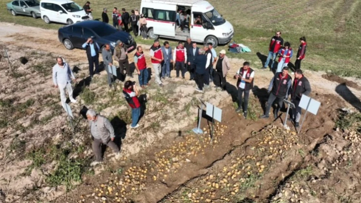 NEVŞEHİR&rsquo;DE YERLİ VE MİLL&Icirc; PATATES &Ccedil;EŞİTLERİNİN HASADI YAPILDI