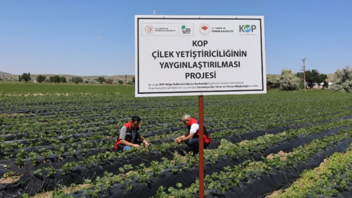 NEVŞEHİR'E YENİ &Ccedil;İLEK BAH&Ccedil;ELERİ KURULDU 