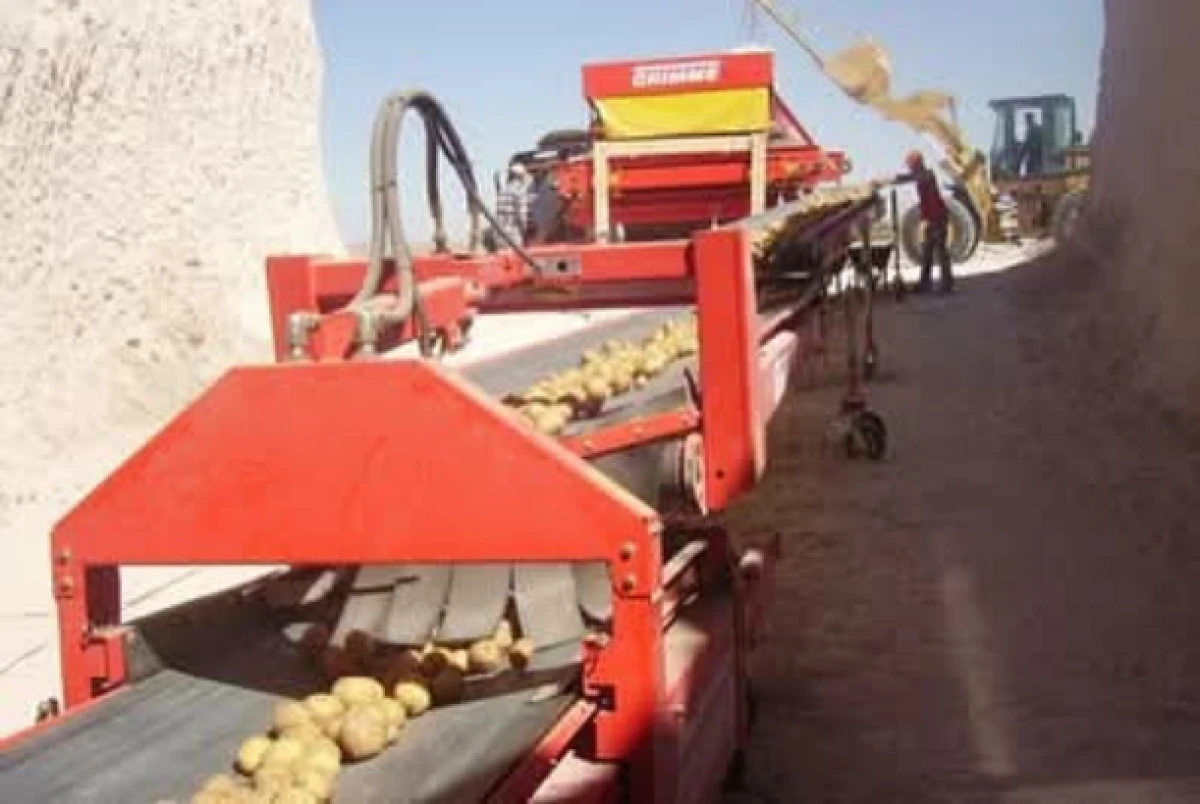 PATATES SERTİFİKASYON ÇALIŞMALARI DEVAM EDİYOR 