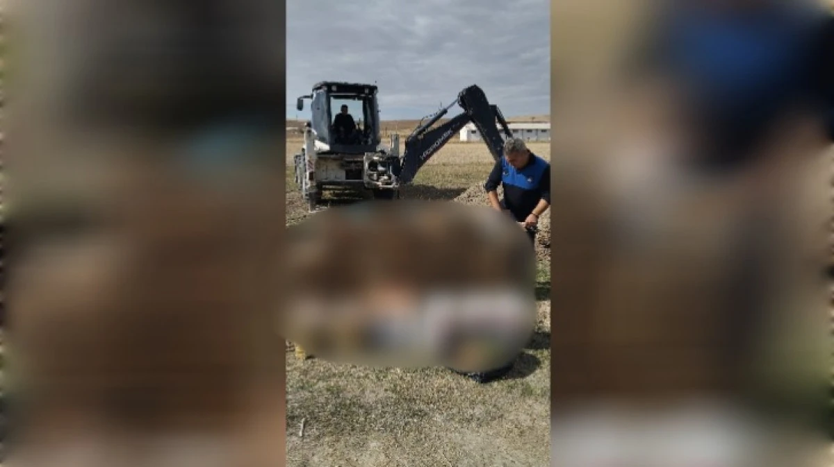 TARİHİ GEÇMİŞ ÜRÜNLER İMHA EDİLDİ 