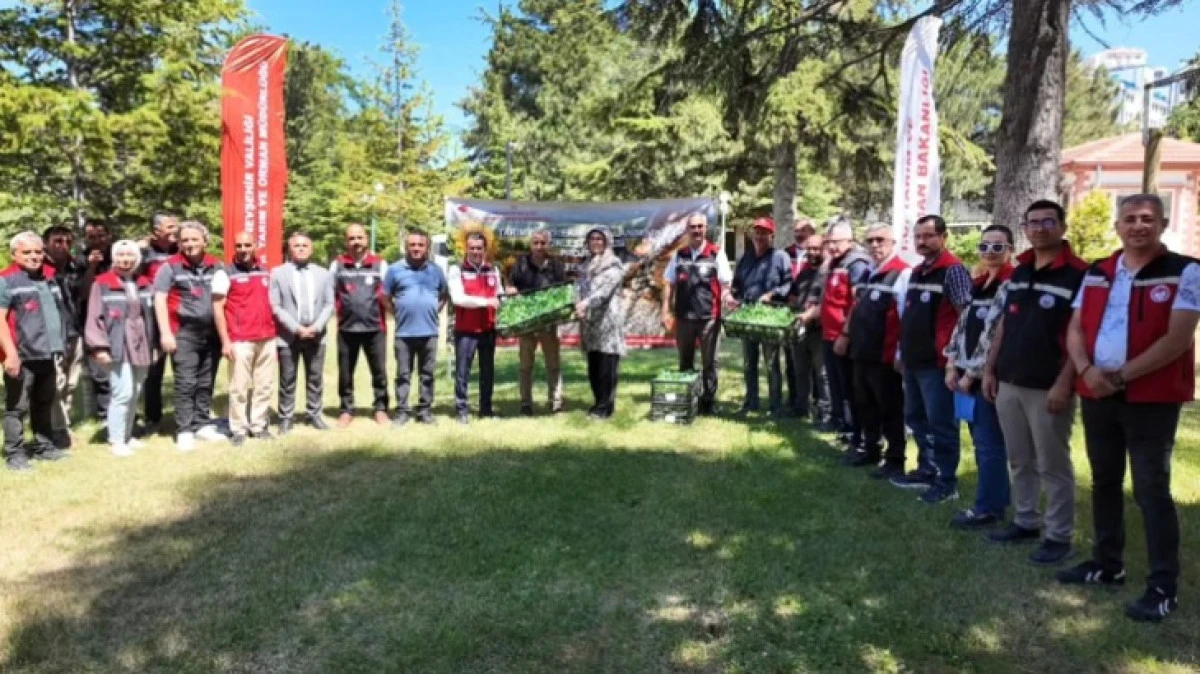 TARIM İL M&Uuml;D&Uuml;RL&Uuml;Ğ&Uuml;NDE &Ccedil;İFT&Ccedil;İLERE FİDAN DAĞITILDI 