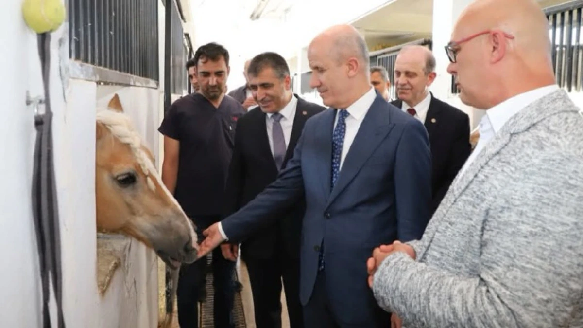 T&Uuml;RKİYE'DE BİR İLK 