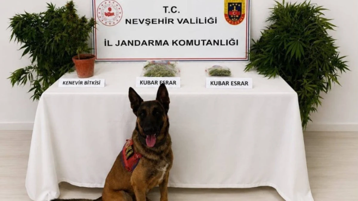 UYUŞTURUCU OPERASYONU 