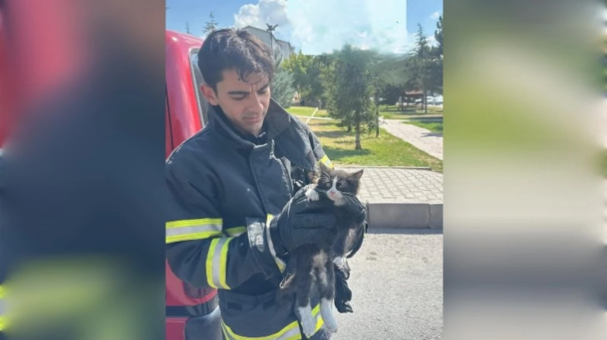 YARAMAZ KEDİ'Yİ KAPUTTAN İTFAİYE ÇIKARDI 